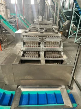 Cashew Nut Shelling Machines