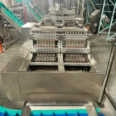 automatic-cashew-shell-cutting-machine-1000x1000 automatic-cashew-shell-cutting-machine-1000x1000