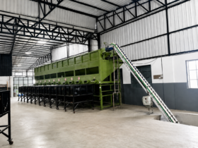 Automatic Raw Cashew Grader