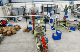 Automatic Total Scooping Solution