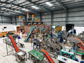 Hi-Tech Ultra Modern Fully Automatic Cashew Nut Processing Plant on Turnkey Basis