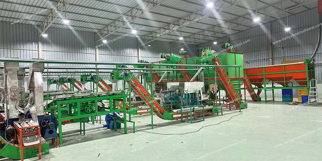 cashew processing plant